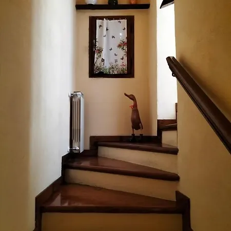 Casina Morogina * Cortona
