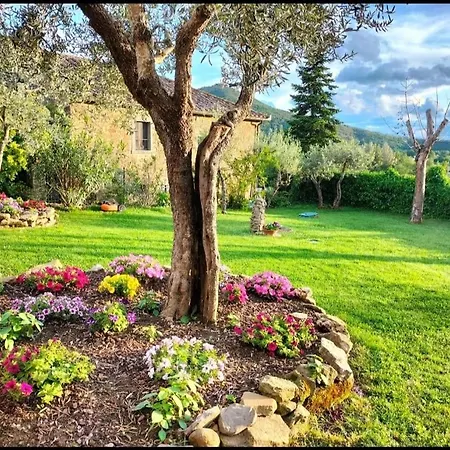 Casina Morogina Cortona