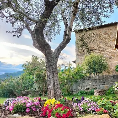 Casina Morogina Holiday home